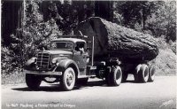 Logging truck One Log Load 4