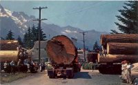 Logging truck One Log Load 5