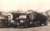 Logging truck One Log Load 8