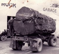 Logging truck One Log Load Paul Leutwyler Port Orford