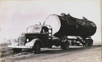 Logging truck One Log Load