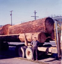 Logging truck Three Log Load 1