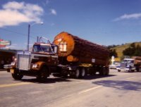 Logging truck Three Log Load 2