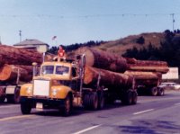 Logging truck Three Log Load
