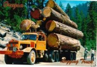 Logging truck private road 2