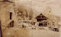 Lumber sawmill Adolphsen Elk River c1902