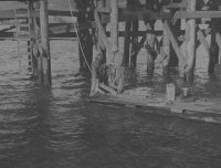 maritime dock piling jetty construction gilbert gable c1935 5