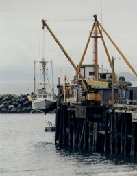maritime dock piling