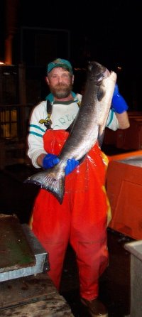 maritime people fish handler donny salmon 2004.10.25 1