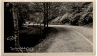 Hwy 101 - Humbug State Park - Hiway 101 in Oregon - Dot Dotson - c1940