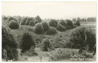 Myrtlewood - Langlois - Floras Creek - c1950