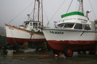 Port of Port Orford - Rosalie and Tahite - 2007 - Malamud