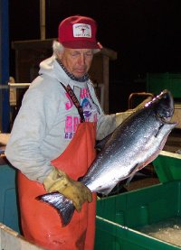 maritime people fish buyer tony cotter 2003.03.20