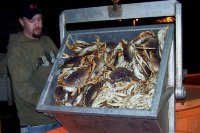 maritime people fish handler garth dungeness crab 2006.01.11