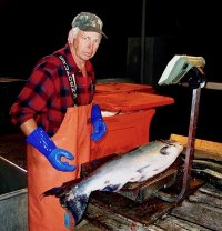 maritime dock fish buyer tony cotter 2004.08.30.