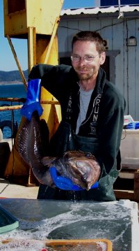 maritime dock fish handler scott 2005.08.27