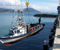 maritime dock hoist mike price 2006.04.08