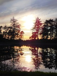 55552044_1539812859485371_8059808947613204480_o