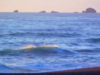 55557174_1539778519488805_6121931781106040832_o