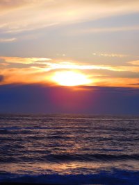 55557234_1539777289488928_1454193428693778432_o