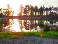 55564198_1539812572818733_3271959266377859072_o