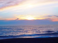 55692808_1539813159485341_7404104133143166976_o