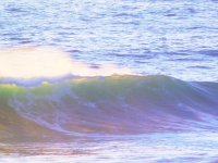 55692906_1539813892818601_8322593824379502592_o