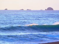 55696255_1539813692818621_7054941970791137280_o