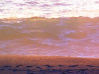 55698708_1539814182818572_874824996415864832_o