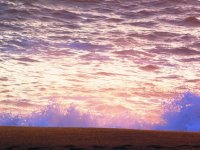 55698714_1539814242818566_891274592310525952_o