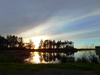 55704681_1539812502818740_4581521913351766016_o