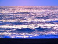 55708909_1539813532818637_5669431219553566720_o