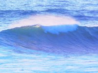 55719269_1539813982818592_1018653053043081216_o