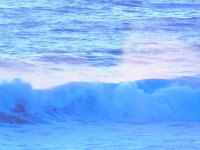 55719303_1539814606151863_3627122163762331648_o