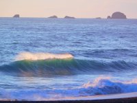 55719429_1539778732822117_5766077333857370112_o