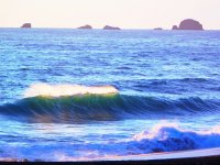 55719515_1539814109485246_5228588951589093376_o