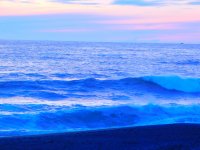 55726370_1539777882822202_9135841445175885824_o