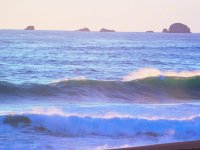 55752444_1539813882818602_8488233447217692672_o