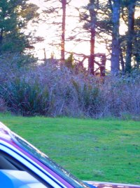 55752513_1539812726152051_2036816136217034752_o