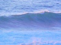 55764200_1539779136155410_6939019751205109760_o