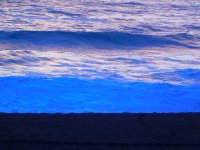 55778963_1539776852822305_978184183258021888_o