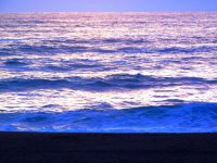 55786309_1539814489485208_2784637996207439872_o