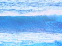 55788299_1539813329485324_8991772591207219200_o