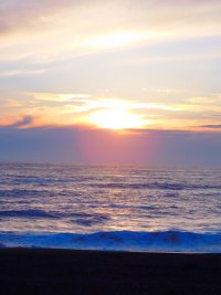 55789987_1539812739485383_5087611292957540352_o