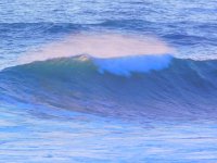 55793493_1539779209488736_153247422418518016_o