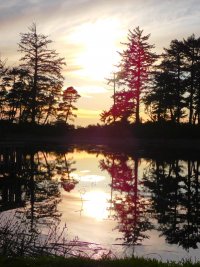 55795292_1539812639485393_606685029870862336_o