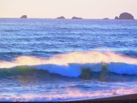 55802402_1539813962818594_2300903367326564352_o