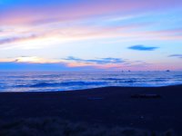 55802441_1539814889485168_3395133319199850496_o