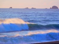 55807242_1539778306155493_3886578251895668736_o