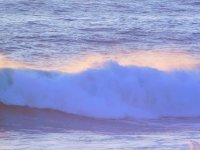 55826863_1539776516155672_5520487723732828160_o